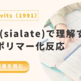 Davidovits(1991)論文解説：poly(sialate)で理解するジオポリマー化反応